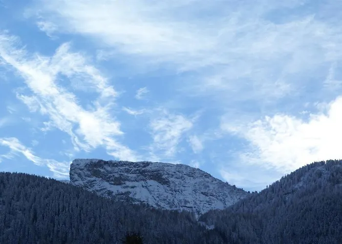 Apartamento Spitaler Gerlosberg