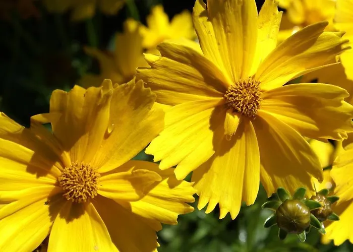 Apartamento Spitaler Gerlosberg