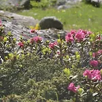 דירה Spitaler *